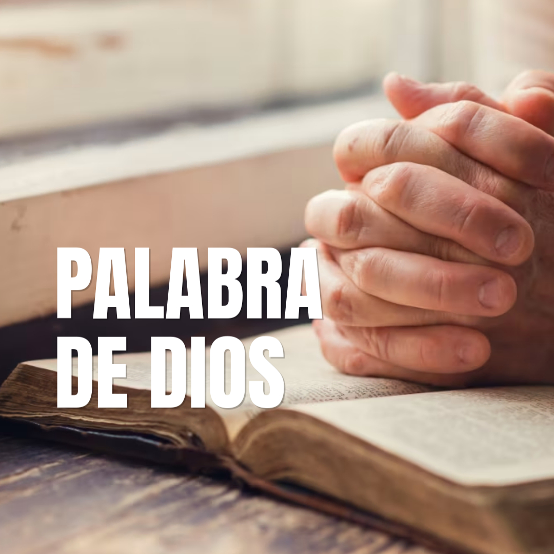 Palabra de Dios